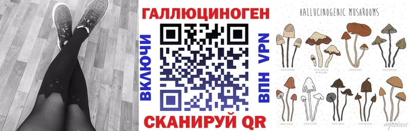 MEGA ссылка  Алзамай  Псилоцибиновые грибы Psilocybe  это клад  где можно купить  