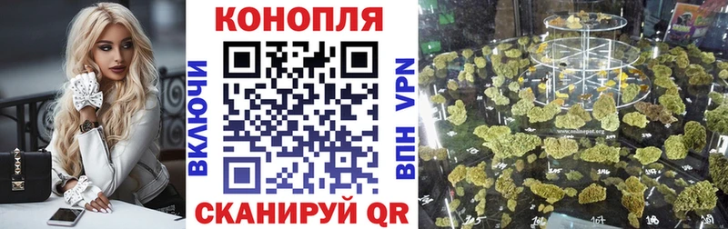Бошки Шишки AK-47  kraken как войти  Алзамай 